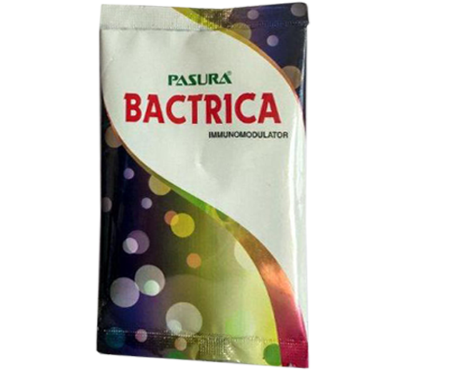 Pasura