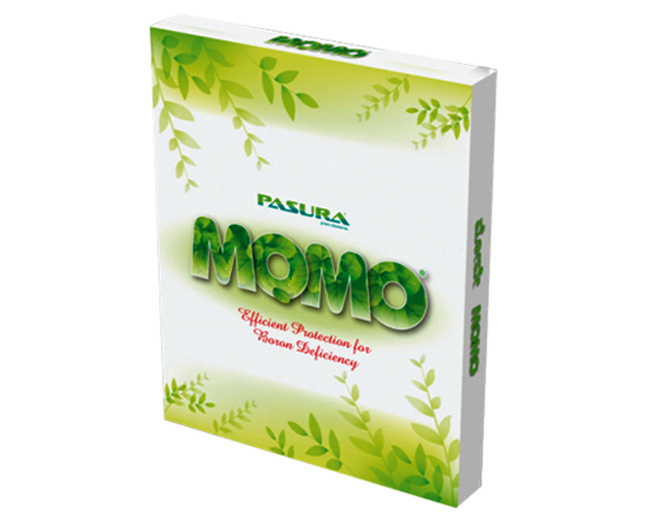 Pasura