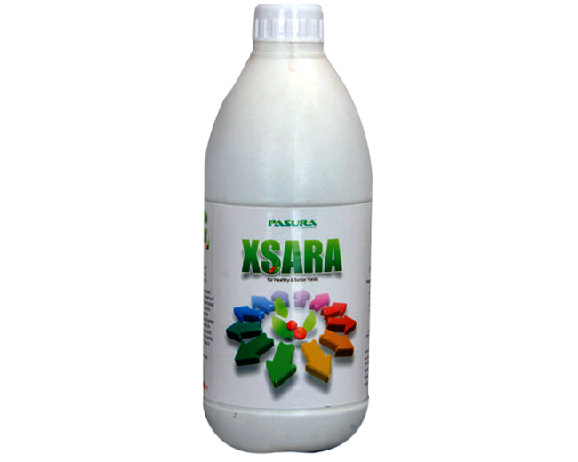 Pasura